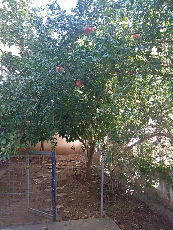 Rodi House Apartment Nafplio Exterior photo